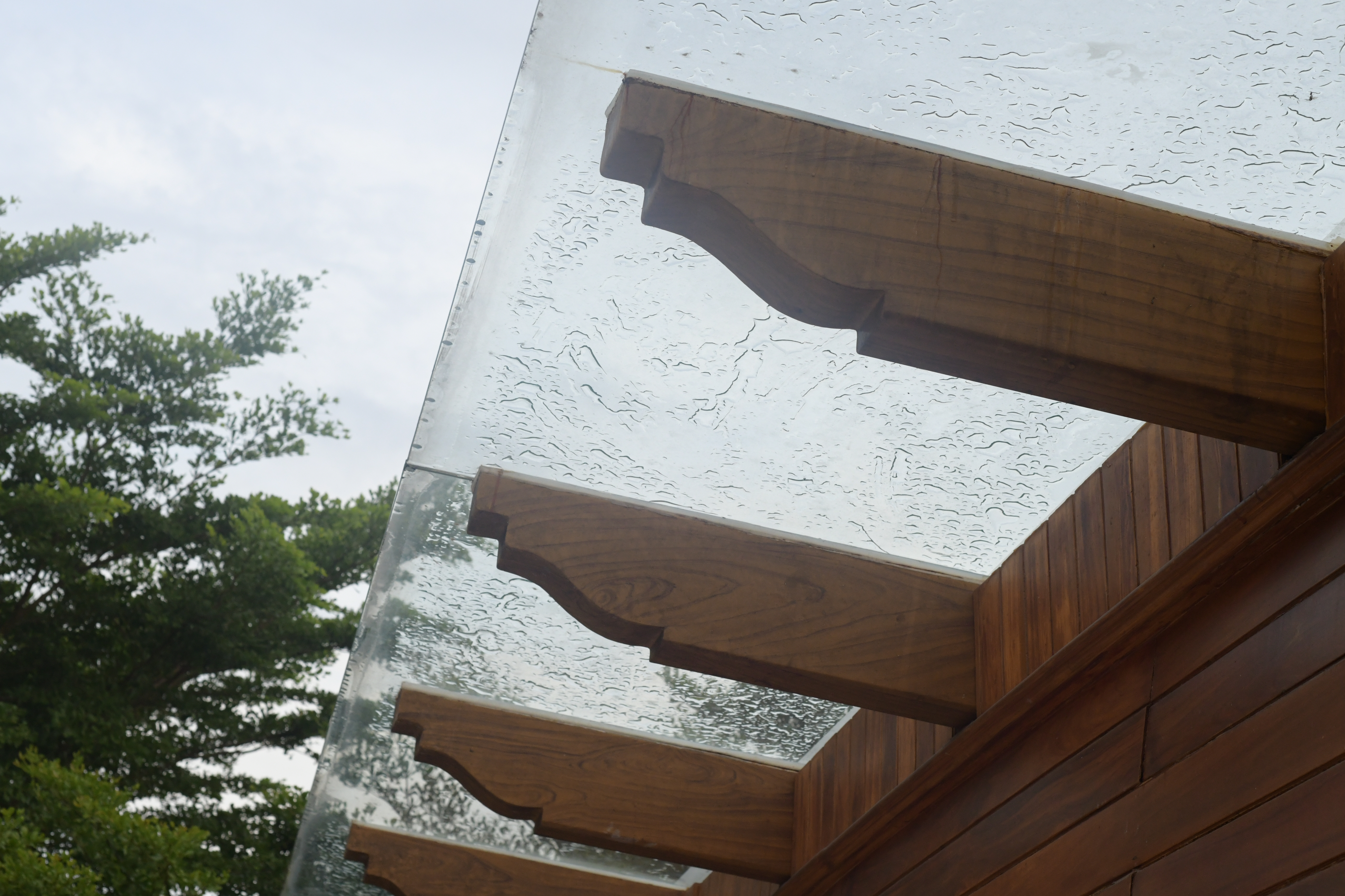 Vintage antique finish hand-carved double door